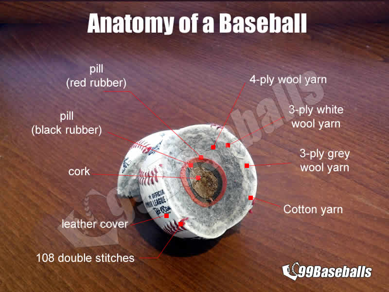 How much does a baseball weigh - baseball anatomy