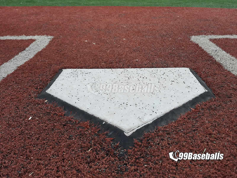 99baseballs-the-field-home-plate-on-the-field-fl