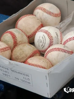 practice-baseballs–complete-reference-guide-99baseballs-fl2